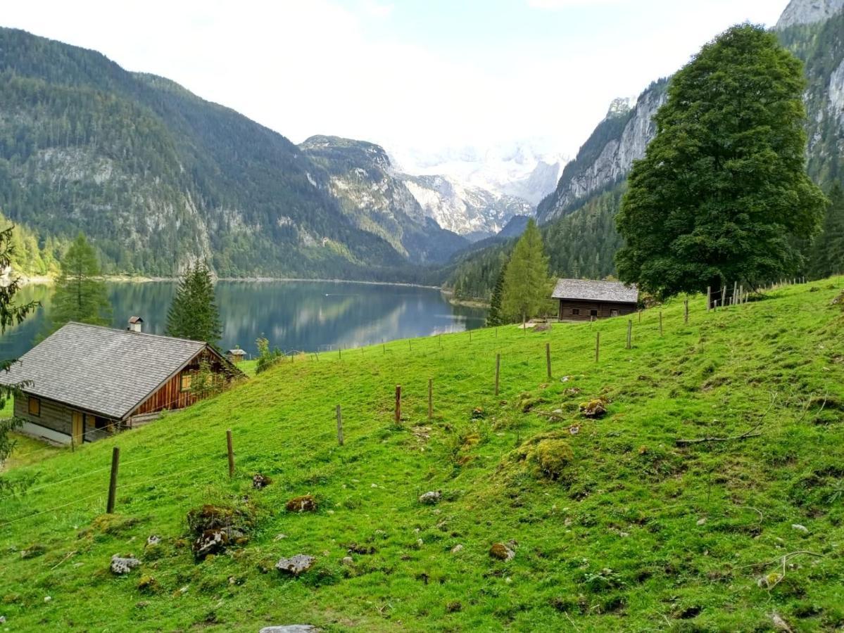Apartmenthaus Hinterer Bad Goisern Extérieur photo